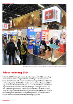 S-GE Finanzbericht 2024 DE